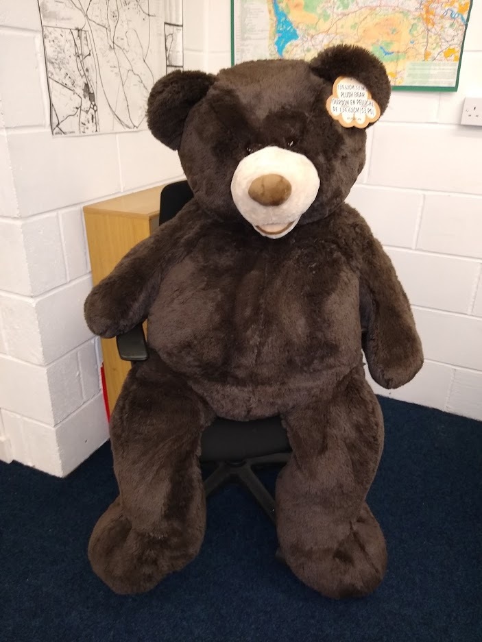 Fundraising Teddy